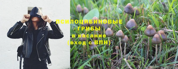 Альфа ПВП Коряжма