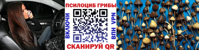 Псилоцибиновые грибы GOLDEN TEACHER  Купить закладки  Грайворон 