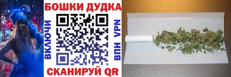 Конопля Bruce Banner  Купить где  Грайворон 